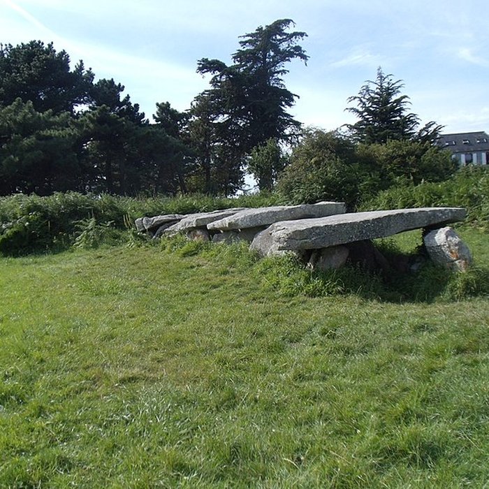 Photo de Allée couverte et menhir de Prajou-Menhir