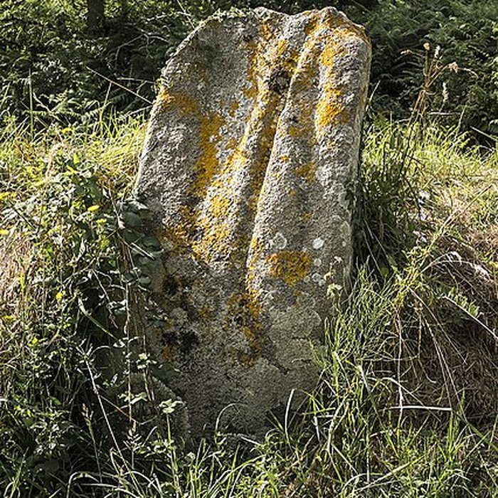 Photo de Allée couverte et menhir de Prajou-Menhir