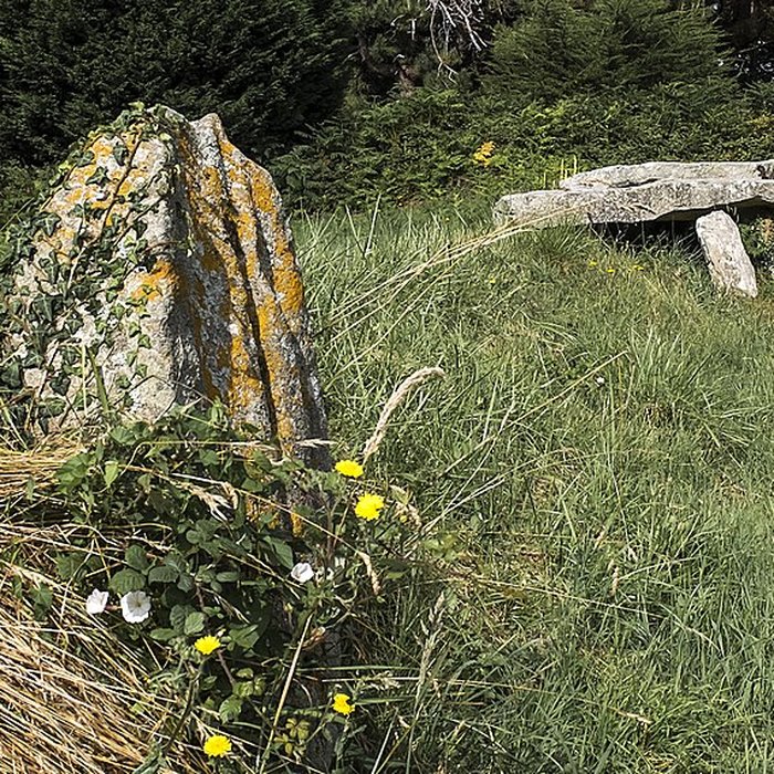 Photo de Allée couverte et menhir de Prajou-Menhir