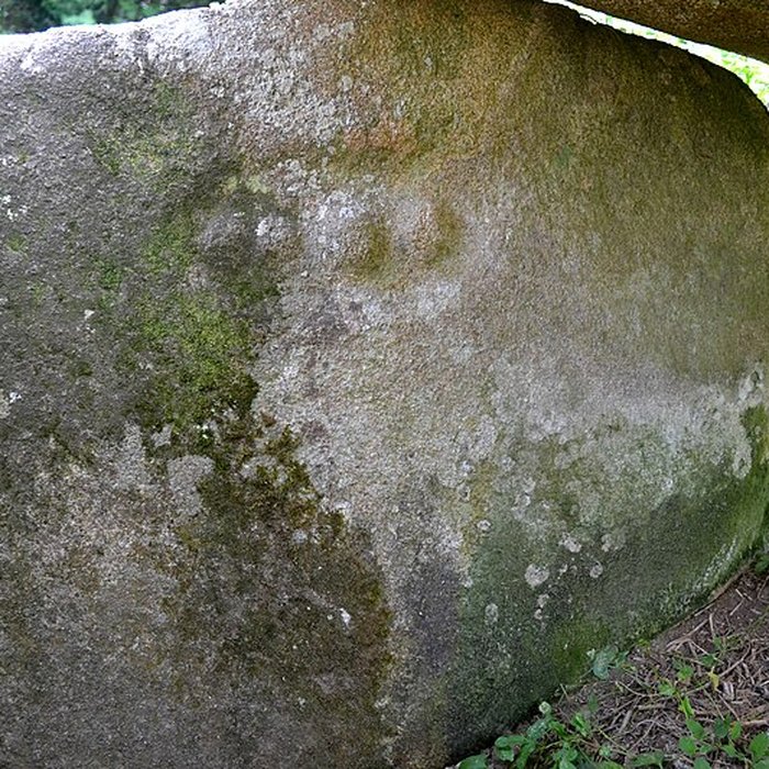 Photo de Allée couverte et menhir de Prajou-Menhir