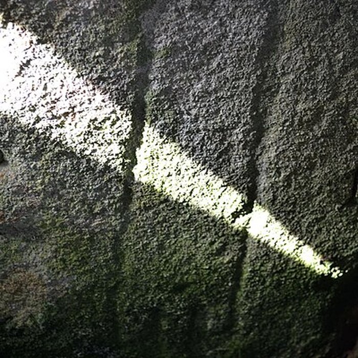 Photo de Allée couverte et menhir de Prajou-Menhir