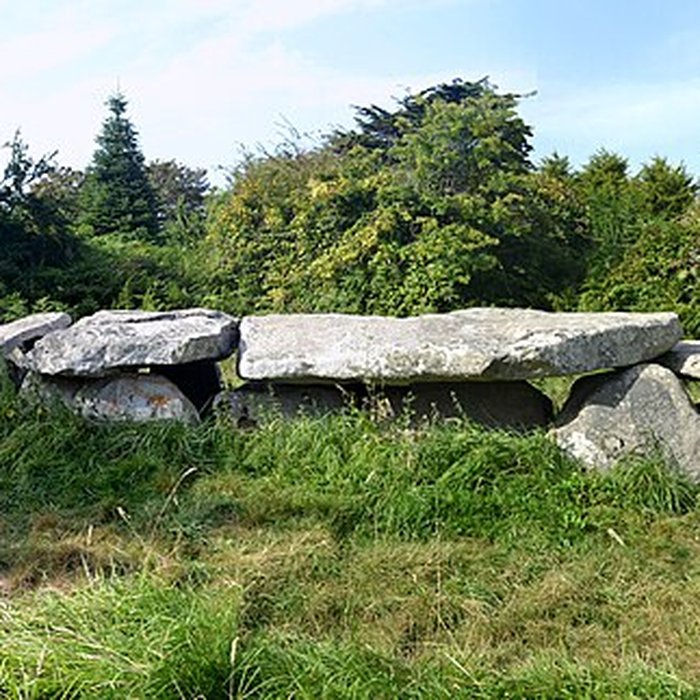 Photo de Allée couverte et menhir de Prajou-Menhir