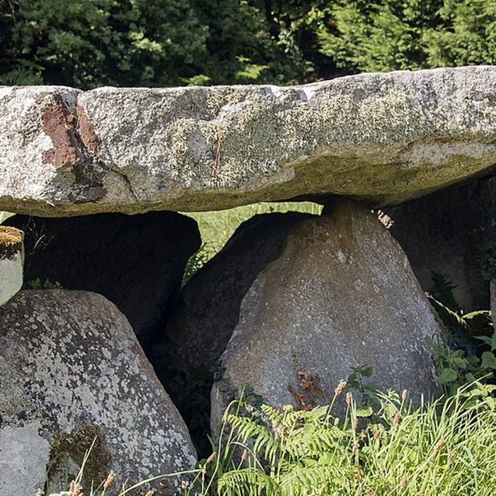 Photo de Allée couverte et menhir de Prajou-Menhir