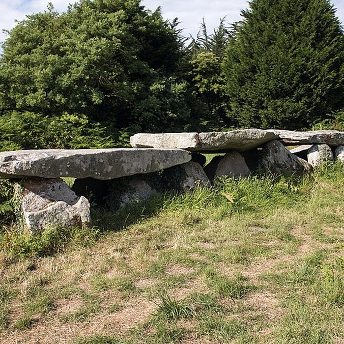Photo de Allée couverte et menhir de Prajou-Menhir