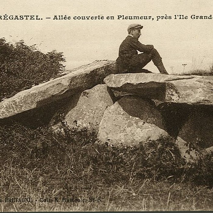 Photo de Allée couverte et menhir de Prajou-Menhir