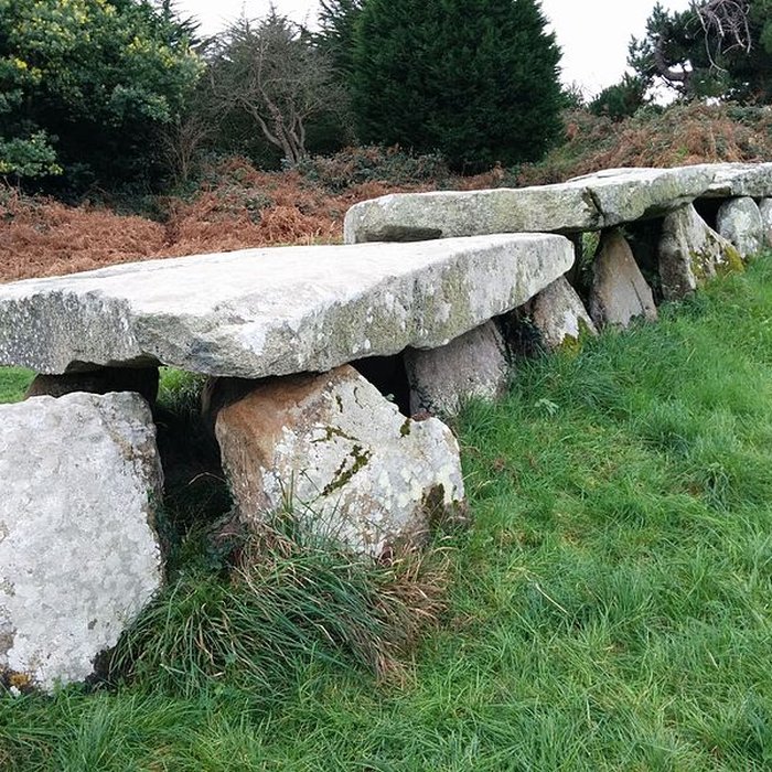 Photo de Allée couverte et menhir de Prajou-Menhir