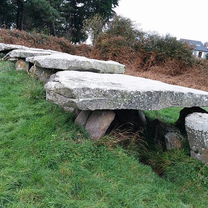 Photo de Allée couverte et menhir de Prajou-Menhir