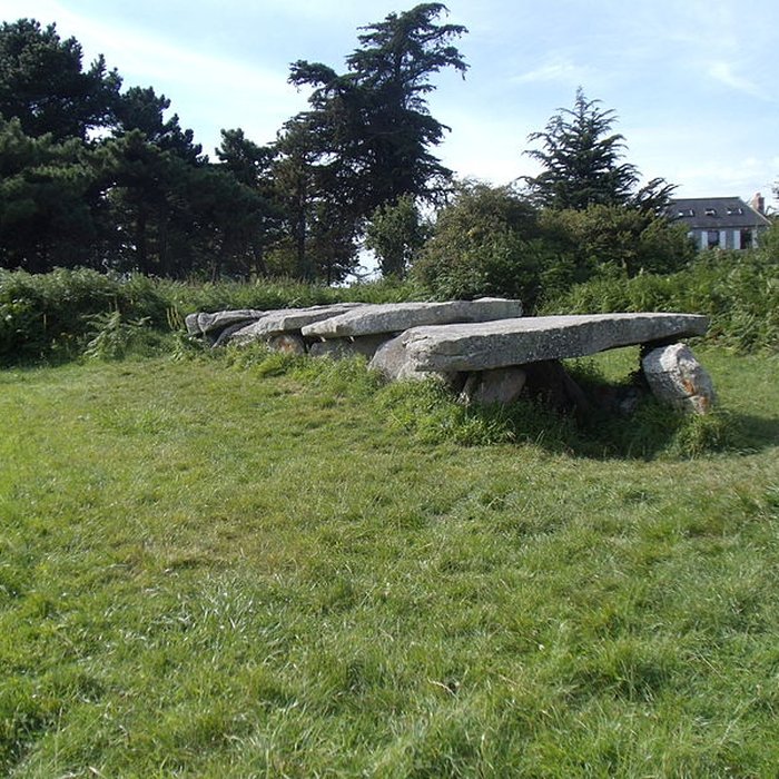 Photo de Allée couverte et menhir de Prajou-Menhir