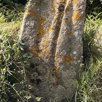 Allée couverte et menhir de Prajou-Menhir