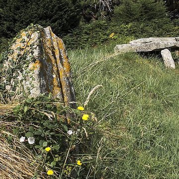 Allée couverte et menhir de Prajou-Menhir