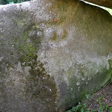 Allée couverte et menhir de Prajou-Menhir