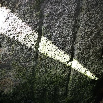 Allée couverte et menhir de Prajou-Menhir