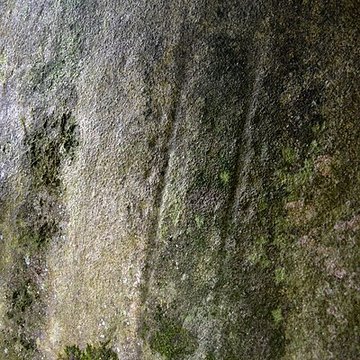 Allée couverte et menhir de Prajou-Menhir