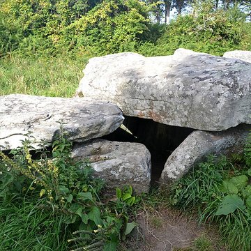 Allée couverte et menhir de Prajou-Menhir