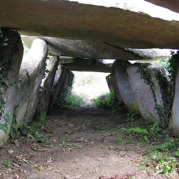 Allée couverte et menhir de Prajou-Menhir