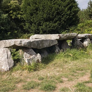 Allée couverte et menhir de Prajou-Menhir