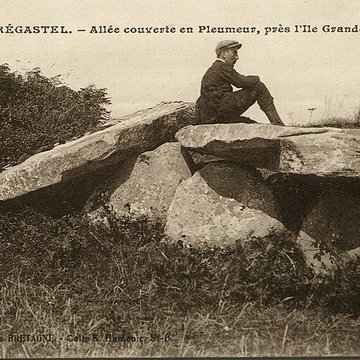 Allée couverte et menhir de Prajou-Menhir