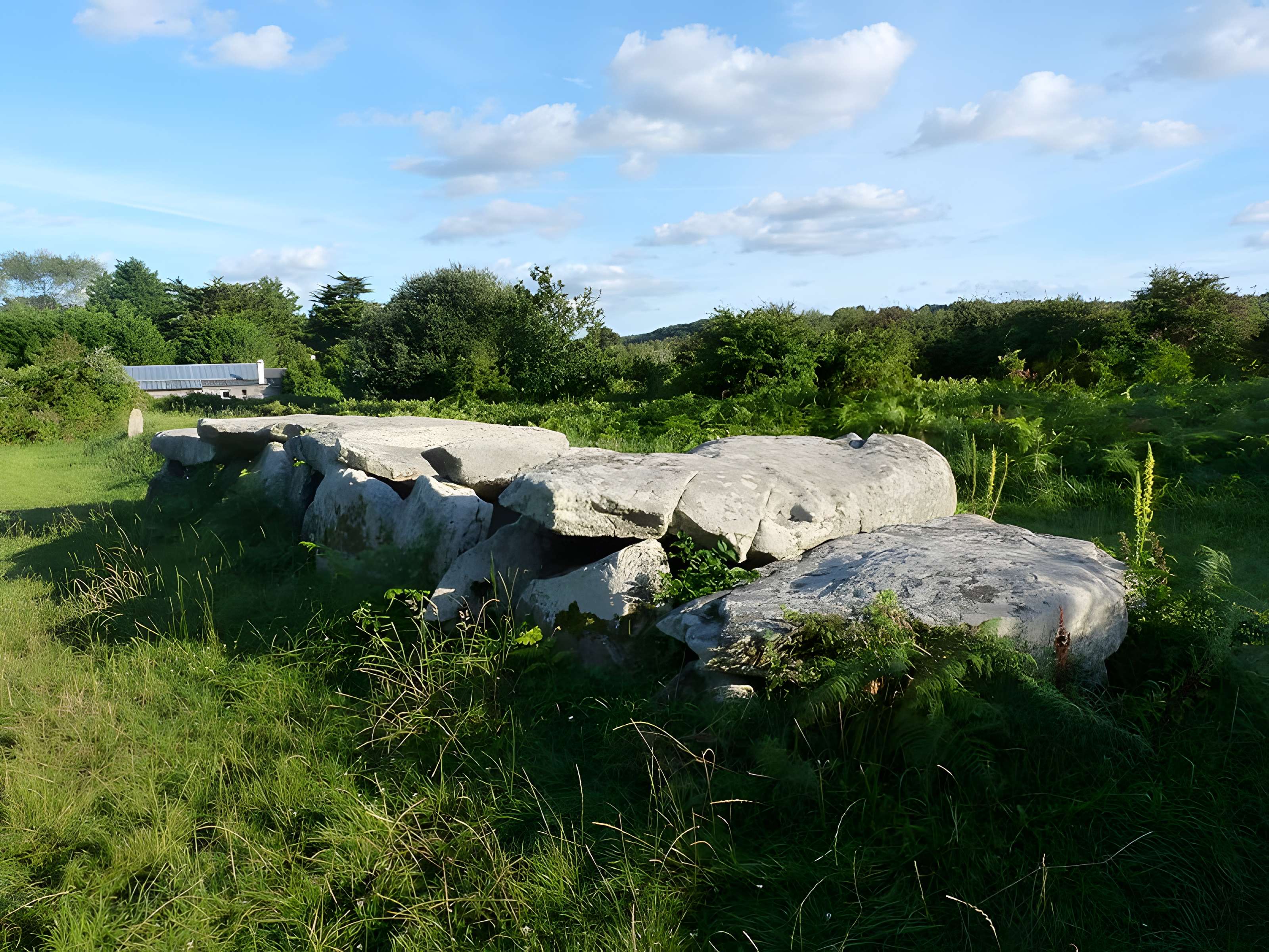 Allée couverte de Trébeurden 