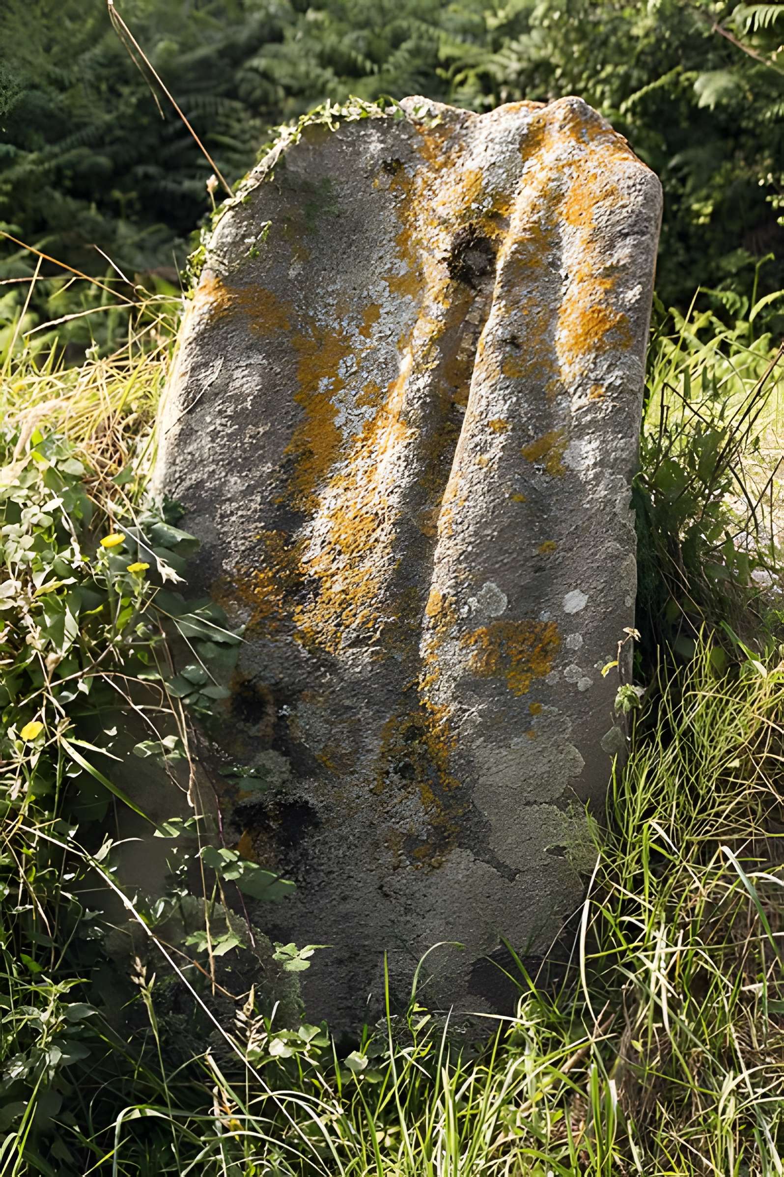 Allée couverte et menhir de Prajou-Menhir