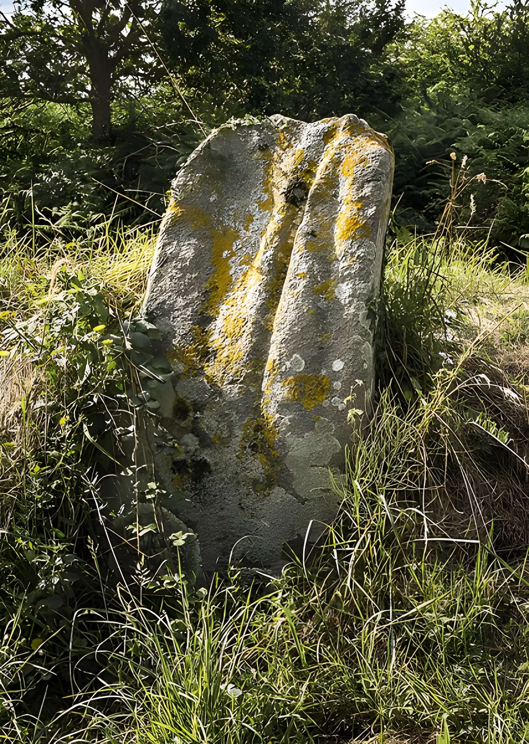 Allée couverte et menhir de Prajou-Menhir
