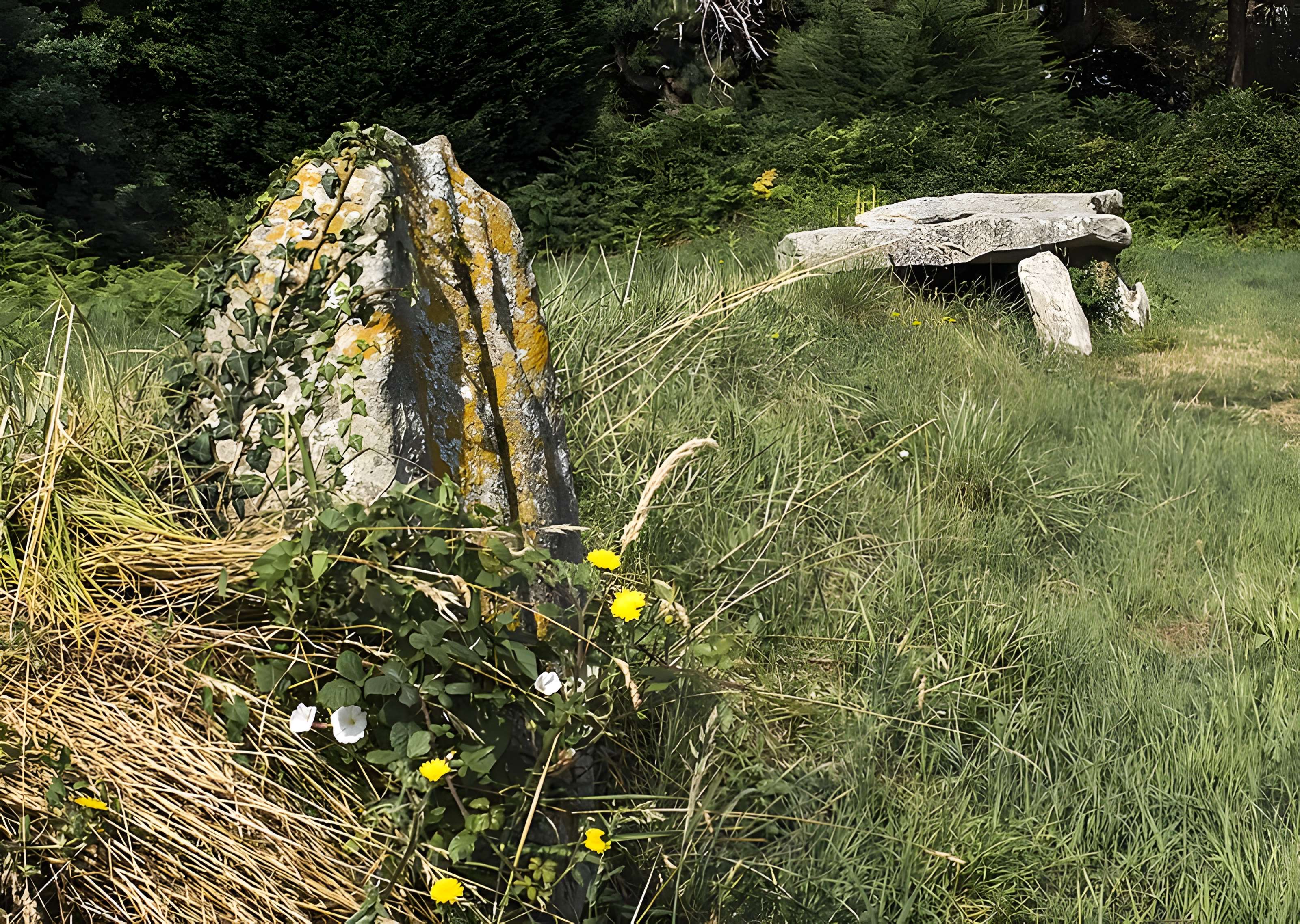 Allée couverte et menhir de Prajou-Menhir