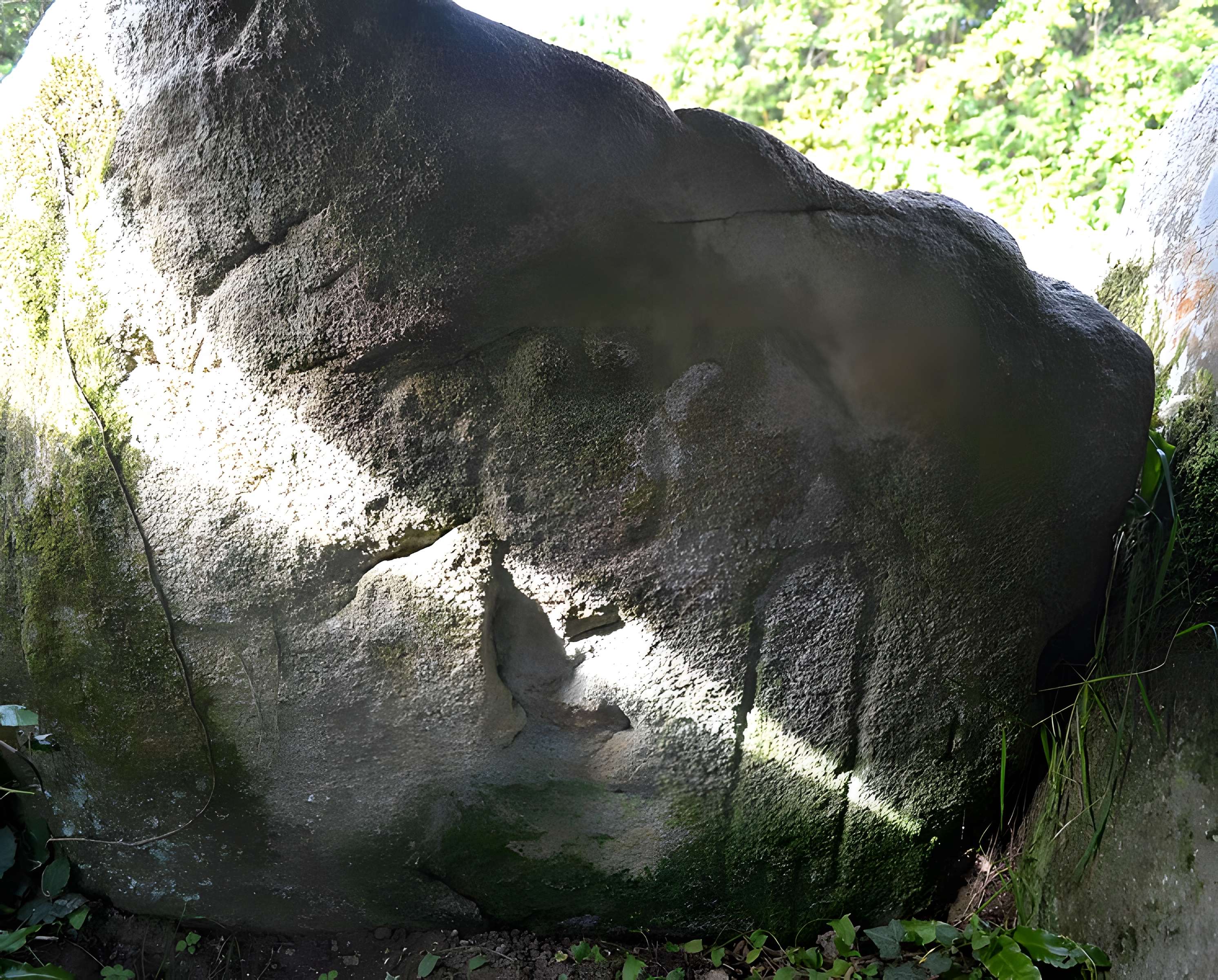 Allée couverte et menhir de Prajou-Menhir