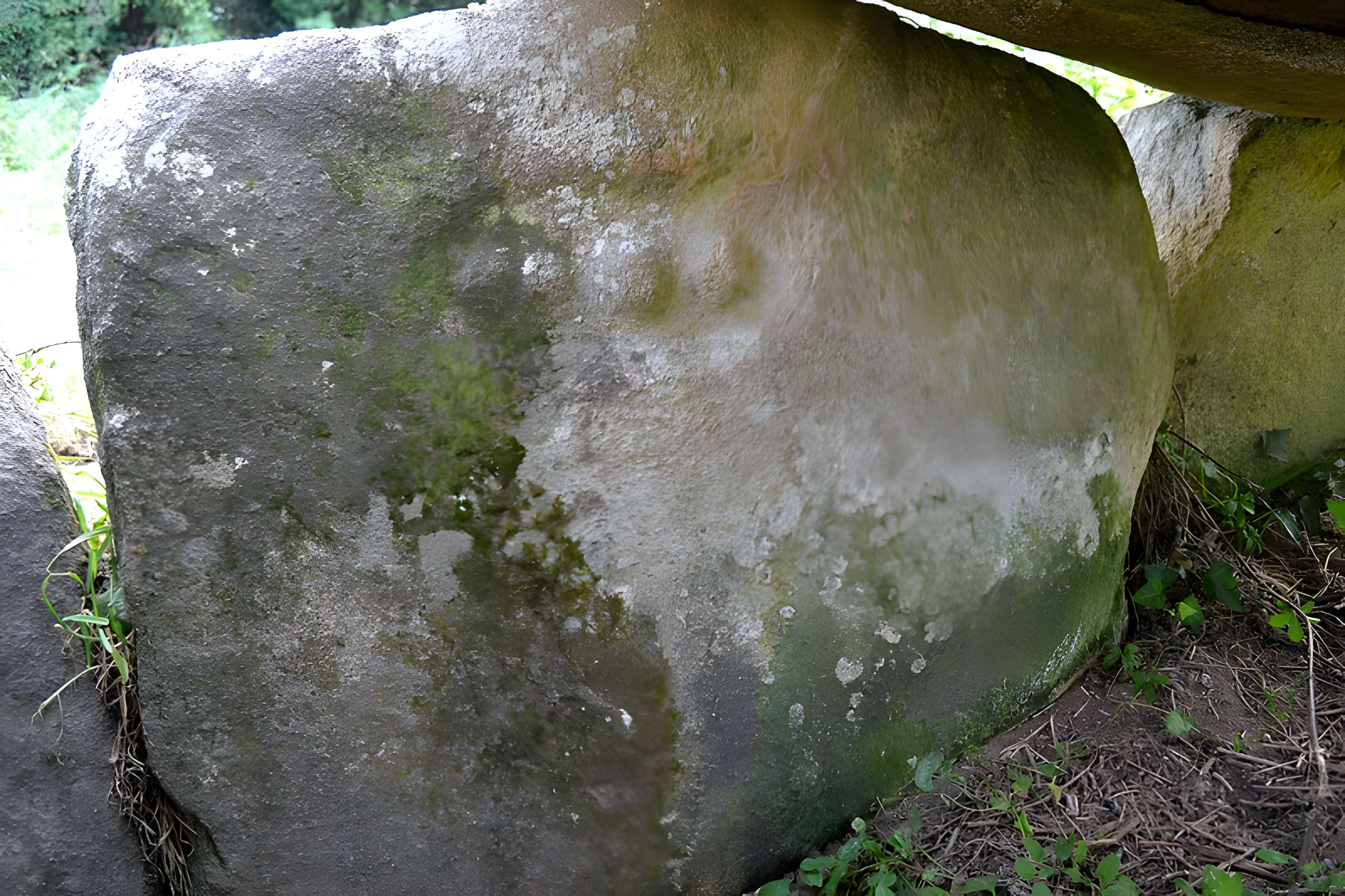 Allée couverte et menhir de Prajou-Menhir