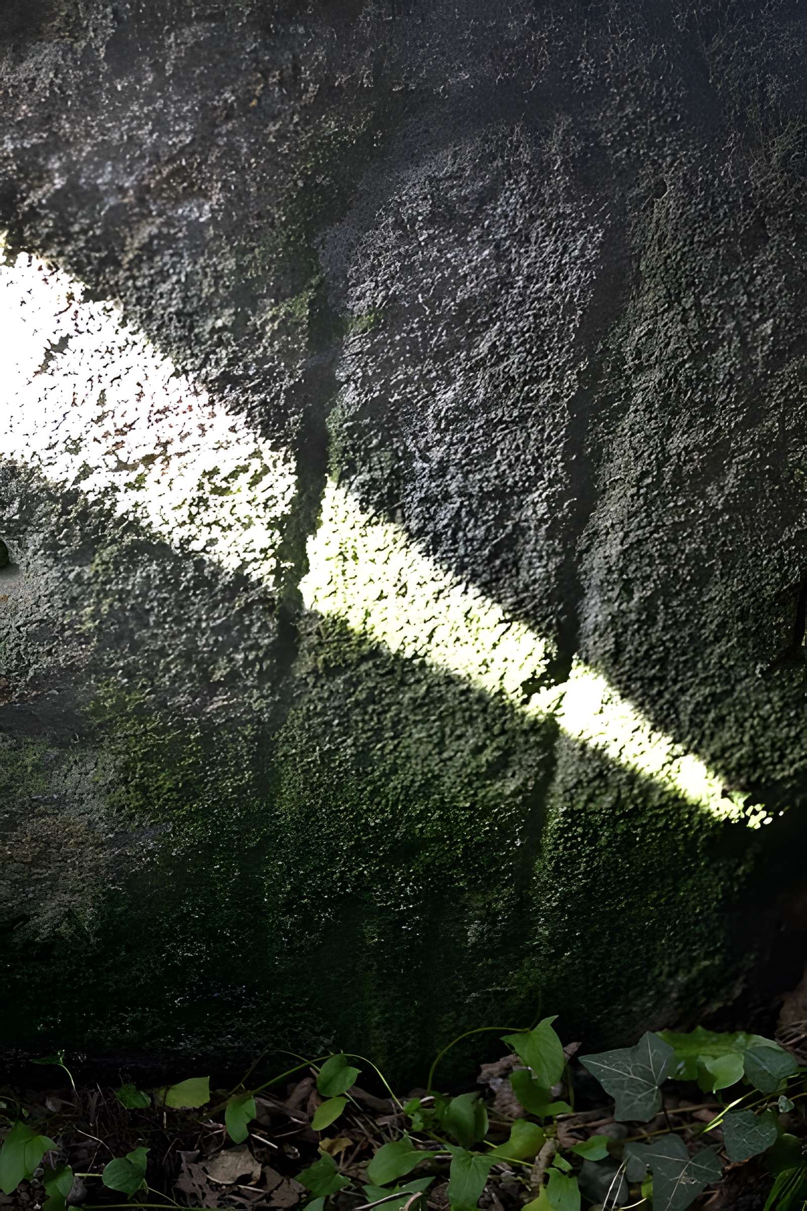 Allée couverte et menhir de Prajou-Menhir