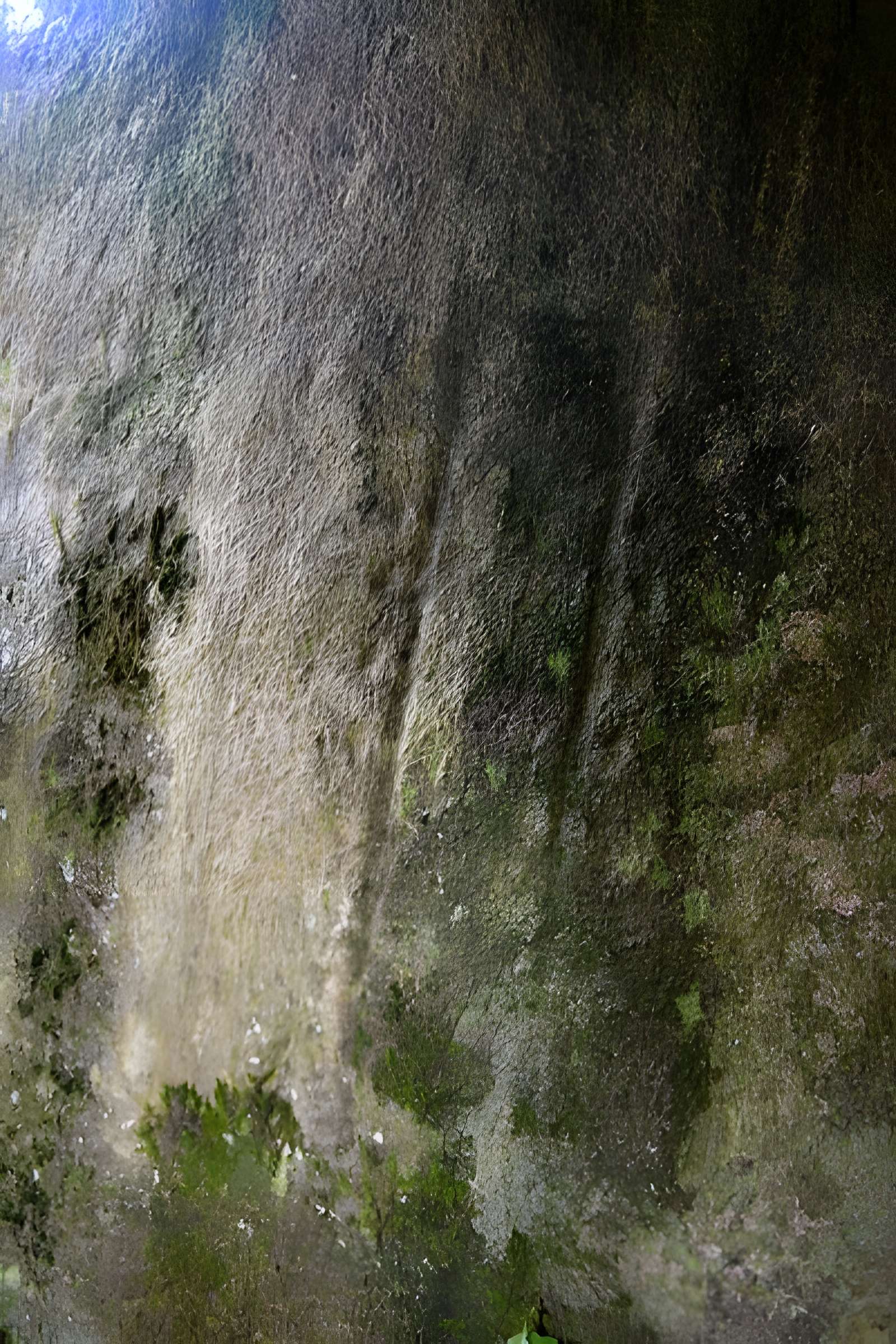Allée couverte et menhir de Prajou-Menhir