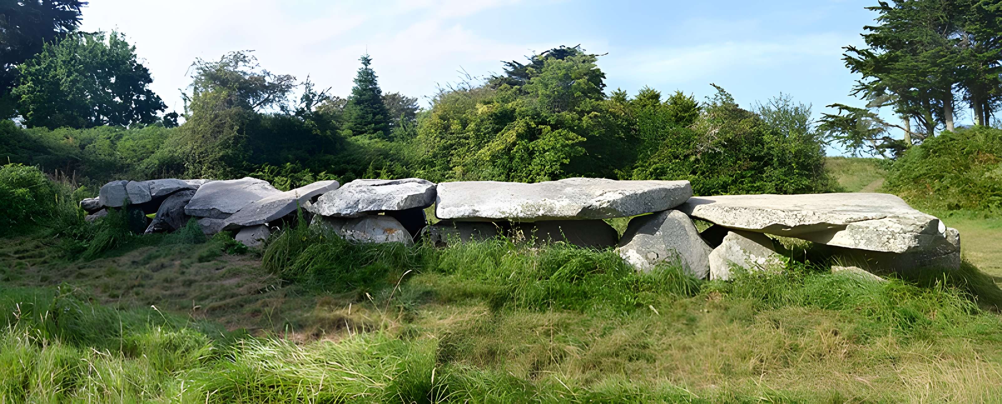 Allée couverte et menhir de Prajou-Menhir
