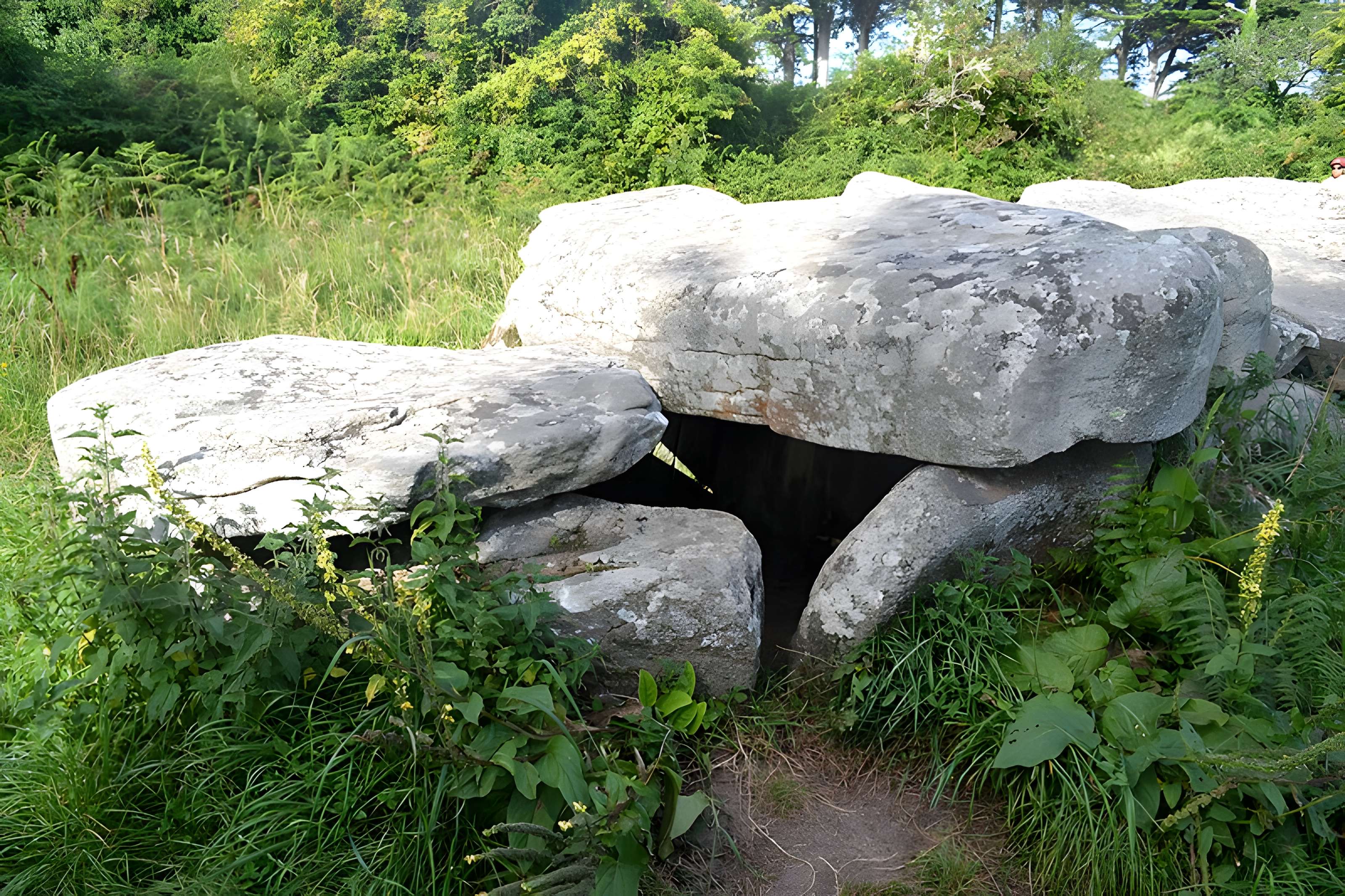 Allée couverte et menhir de Prajou-Menhir
