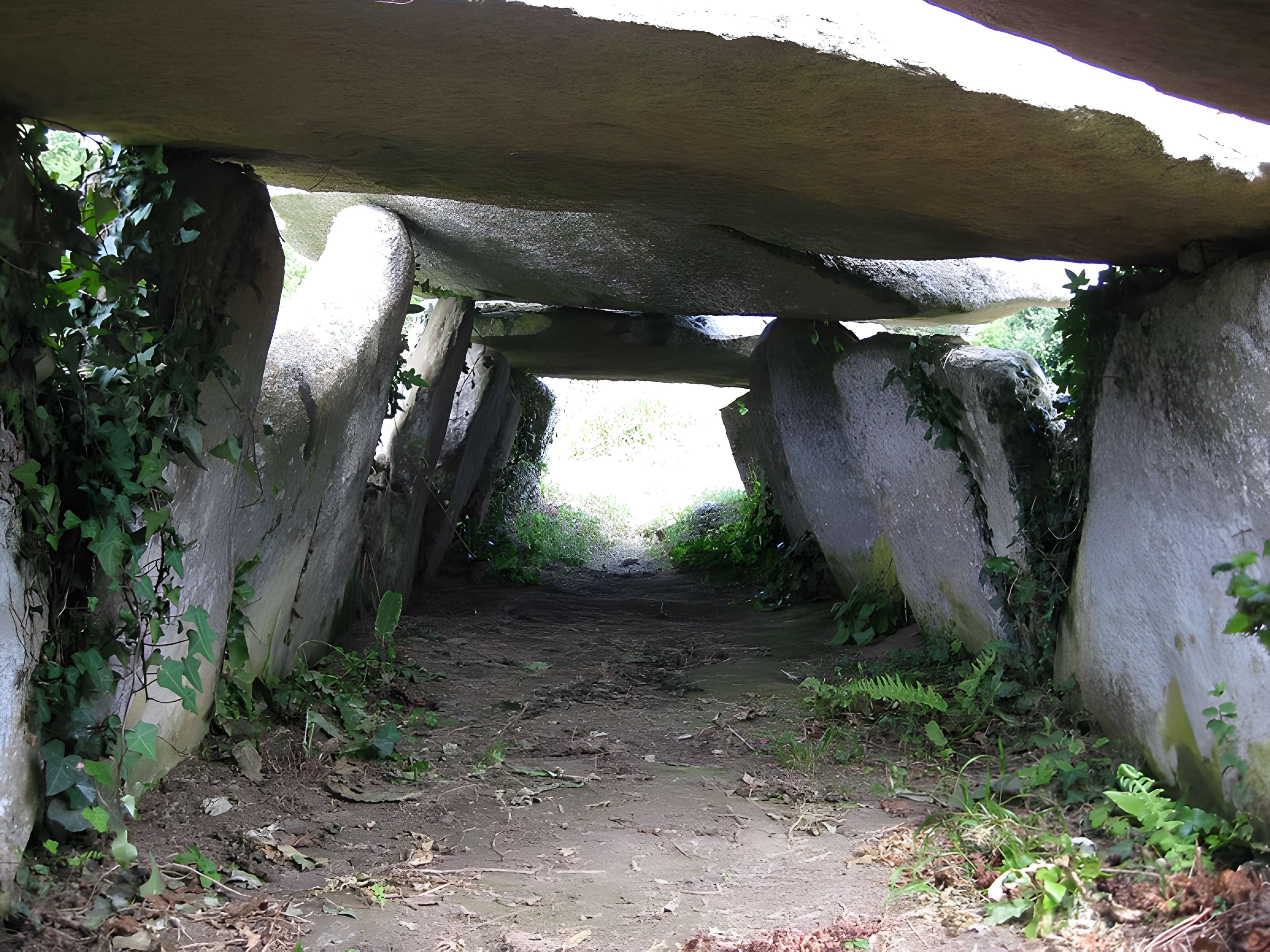 Allée couverte et menhir de Prajou-Menhir