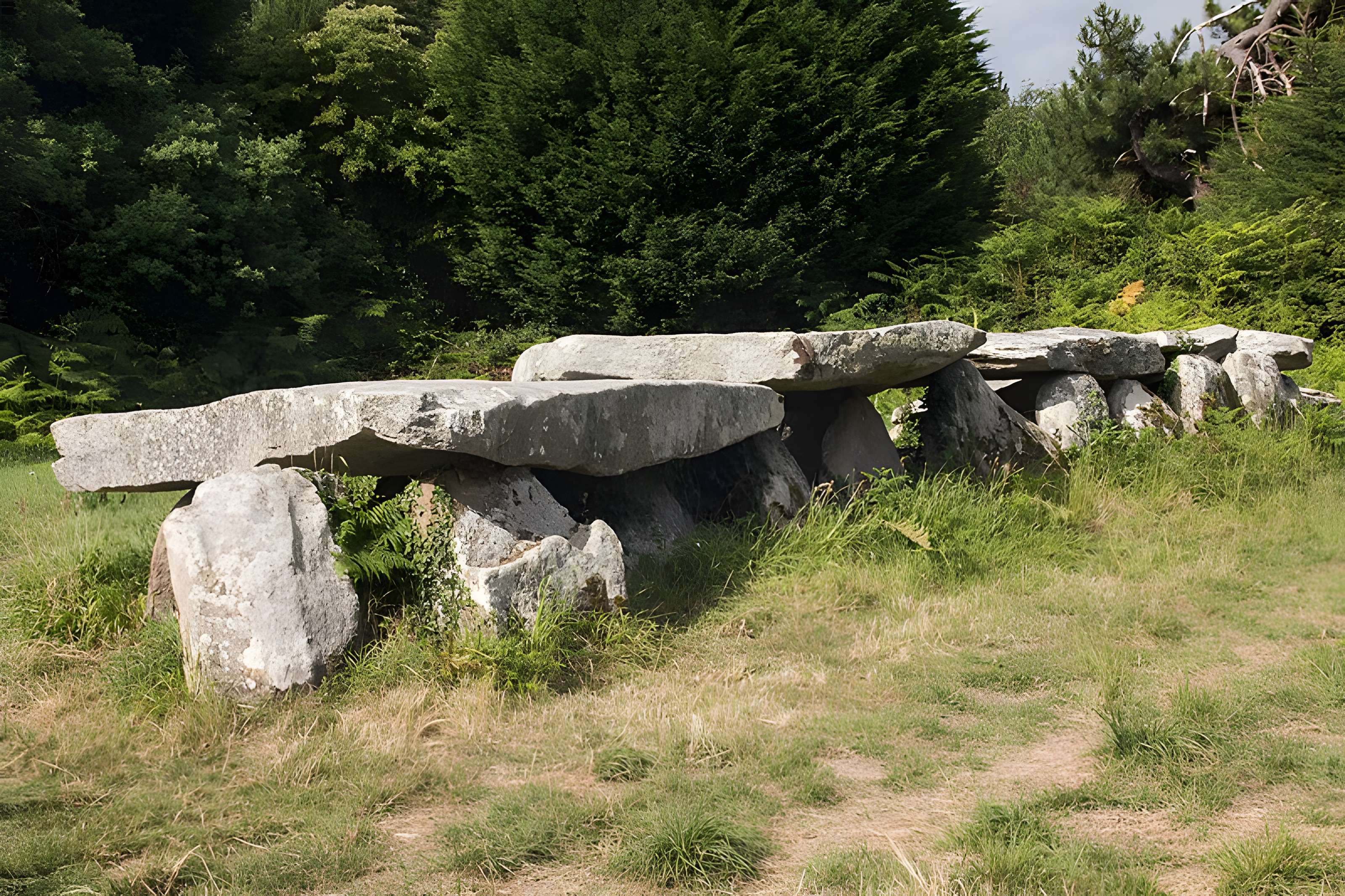 Allée couverte et menhir de Prajou-Menhir