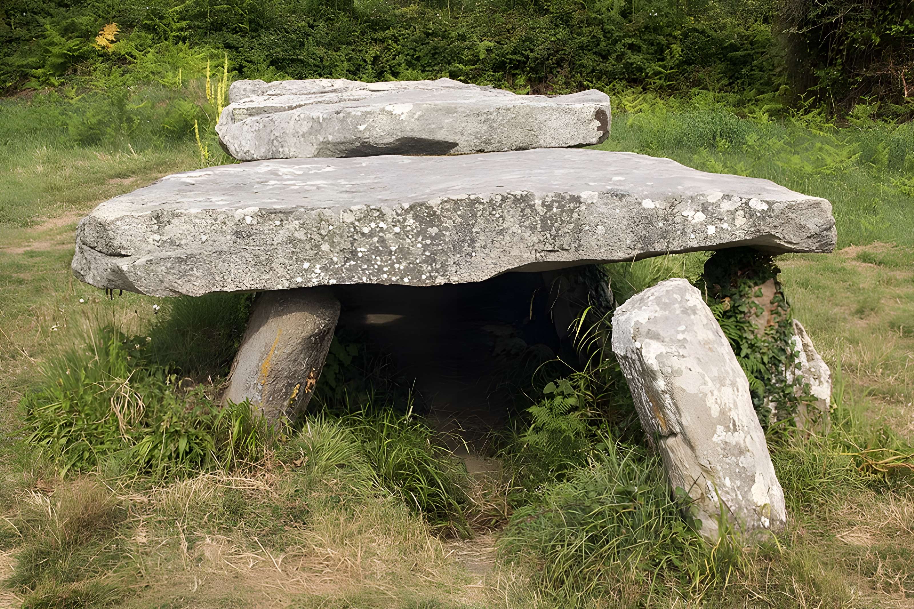 Allée couverte et menhir de Prajou-Menhir