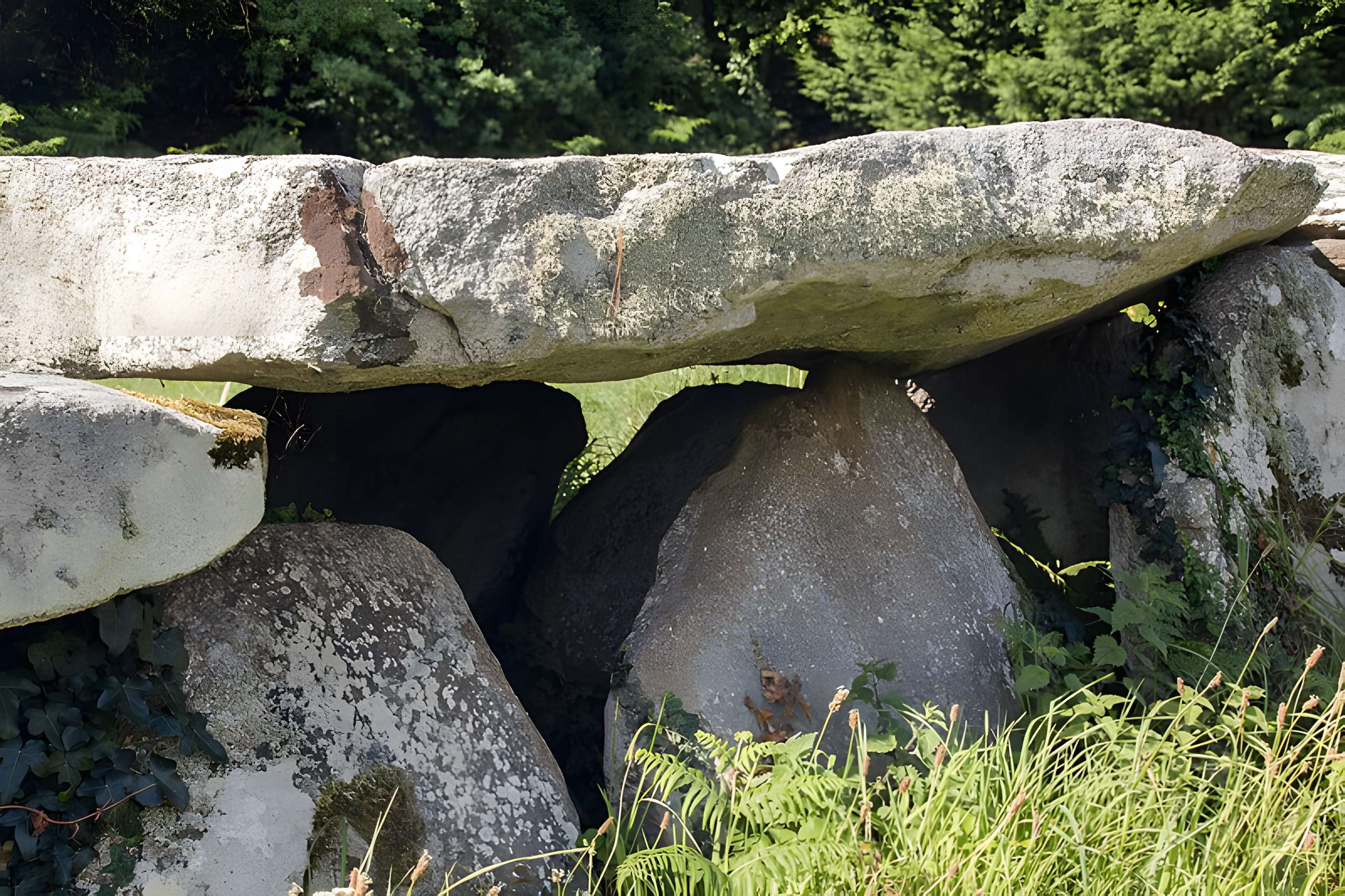 Allée couverte et menhir de Prajou-Menhir
