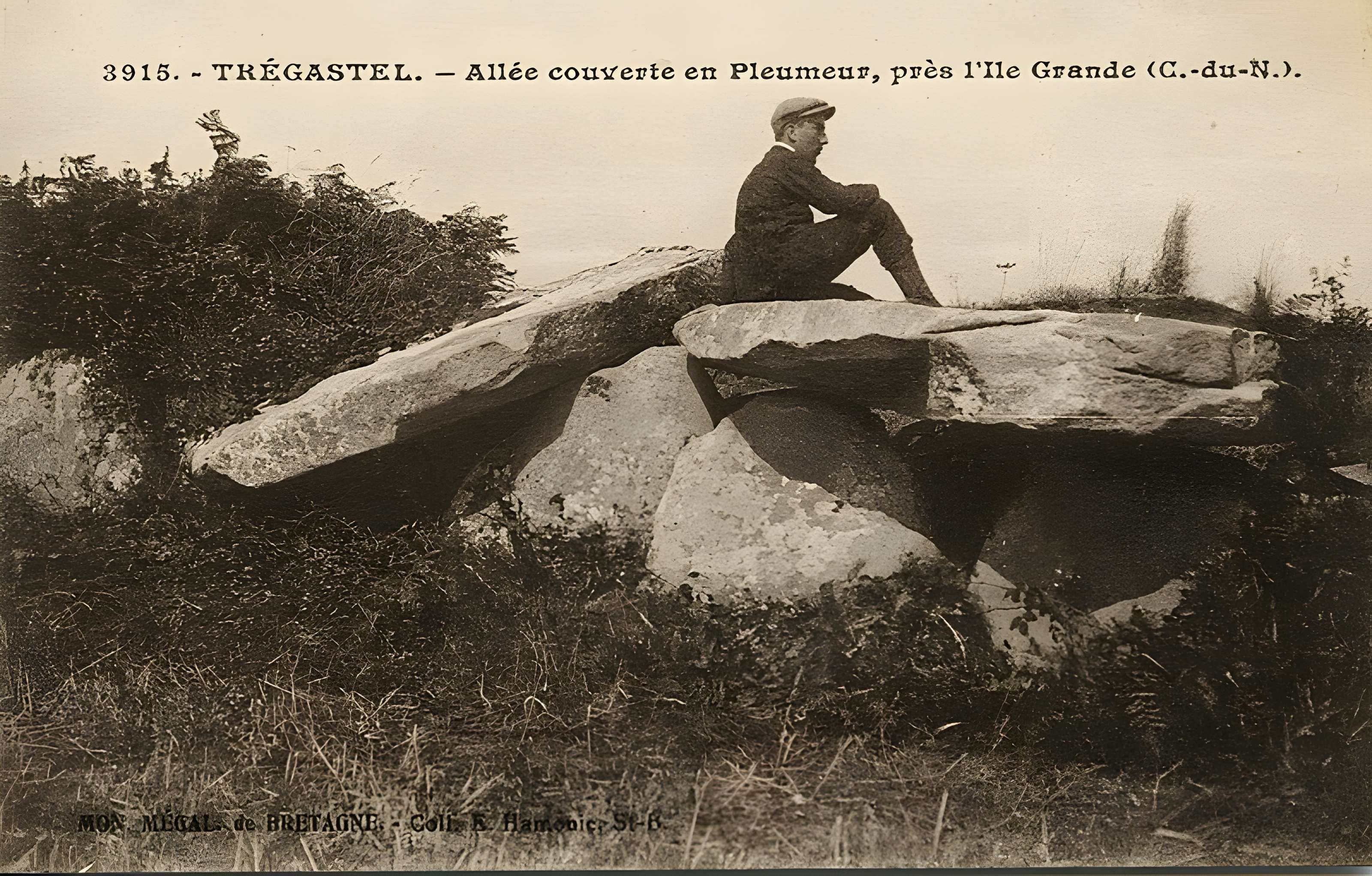 Allée couverte et menhir de Prajou-Menhir