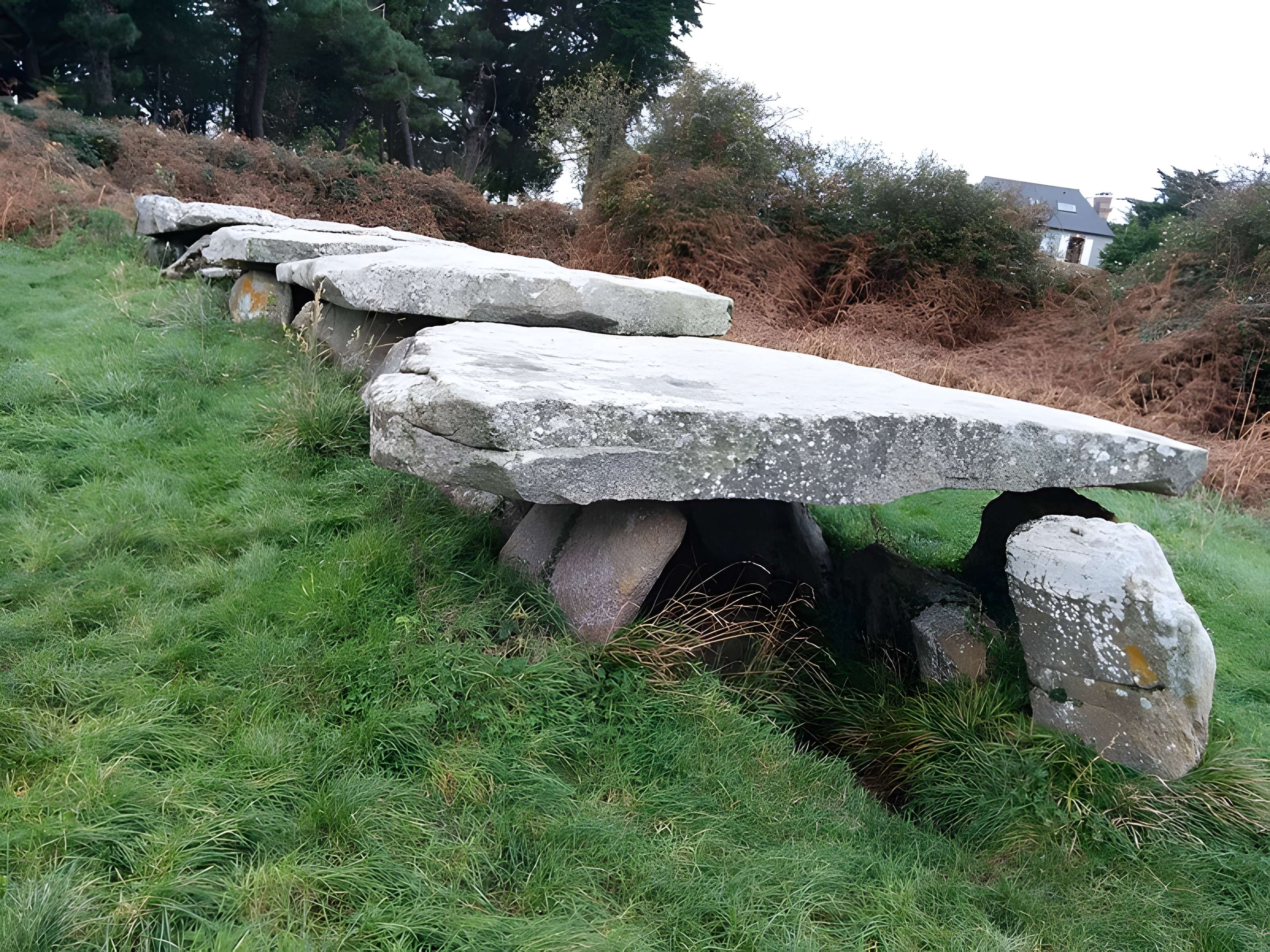 Allée couverte et menhir de Prajou-Menhir