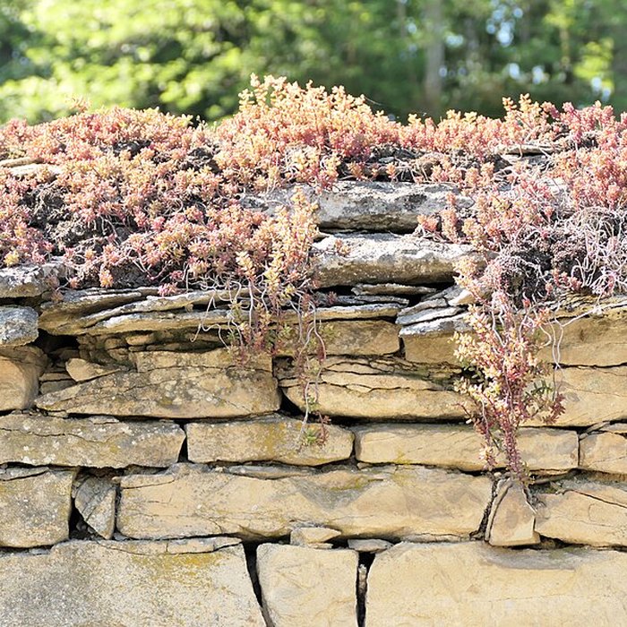 Photo de Château de Boult