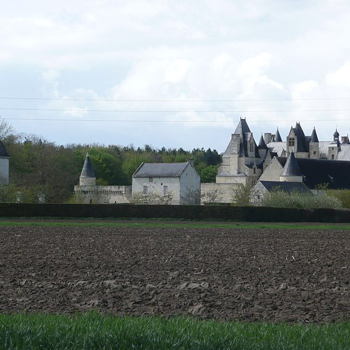 Photo de Château de Boumois