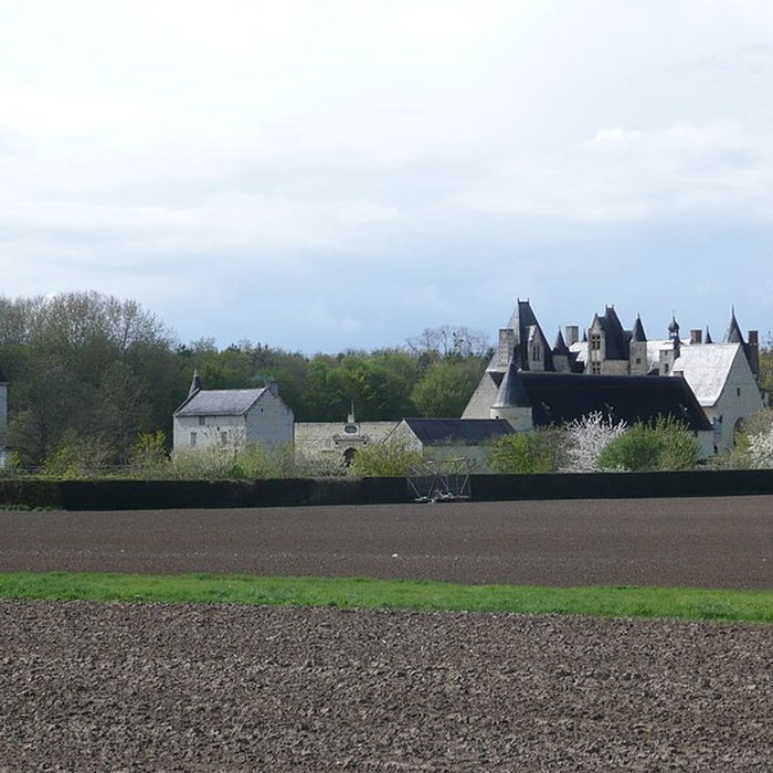 Photo de Château de Boumois