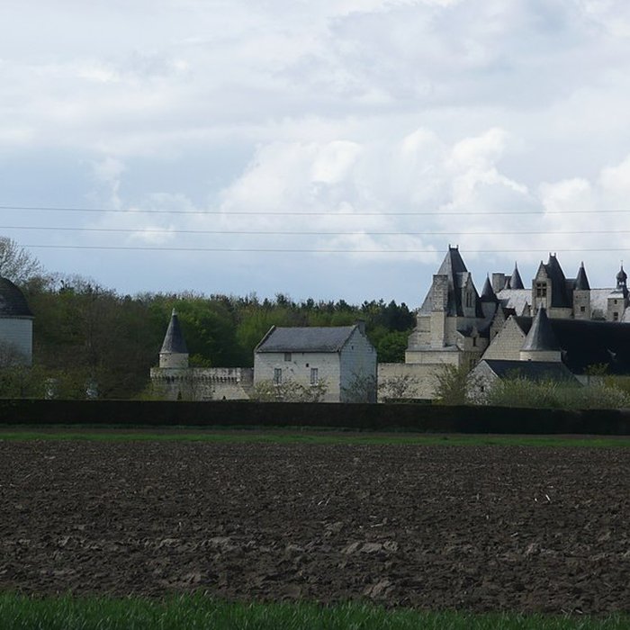Photo de Château de Boumois