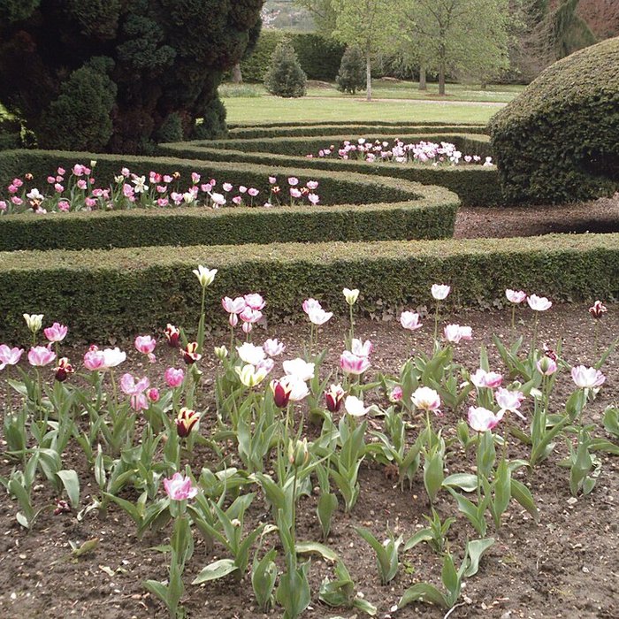 Photo de Château de Boutemont