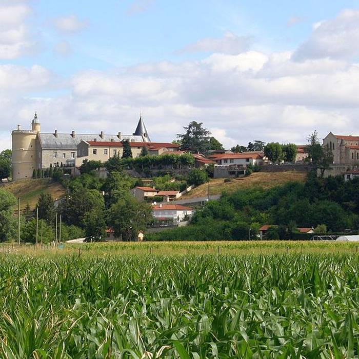 Photo de Château de Bouthéon