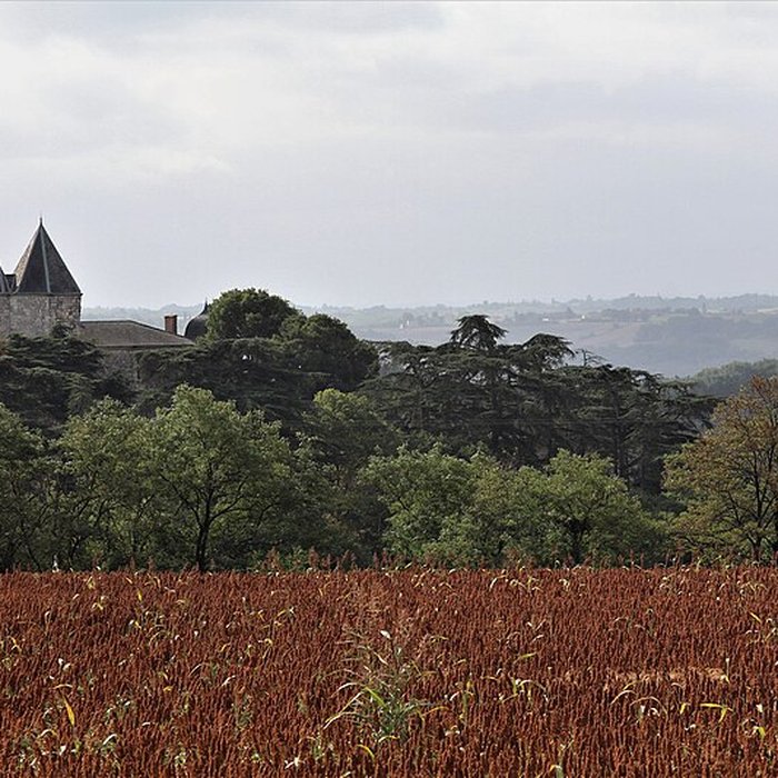 Photo de Château de Brassac