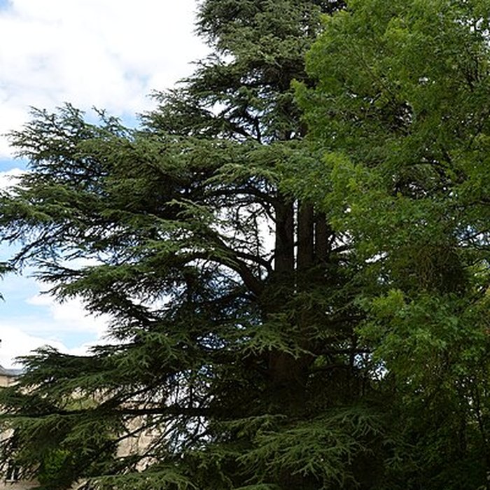 Photo de Château de Brécy