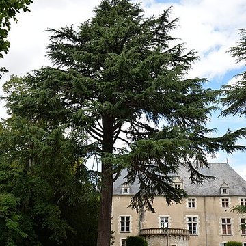 Château de Brécy