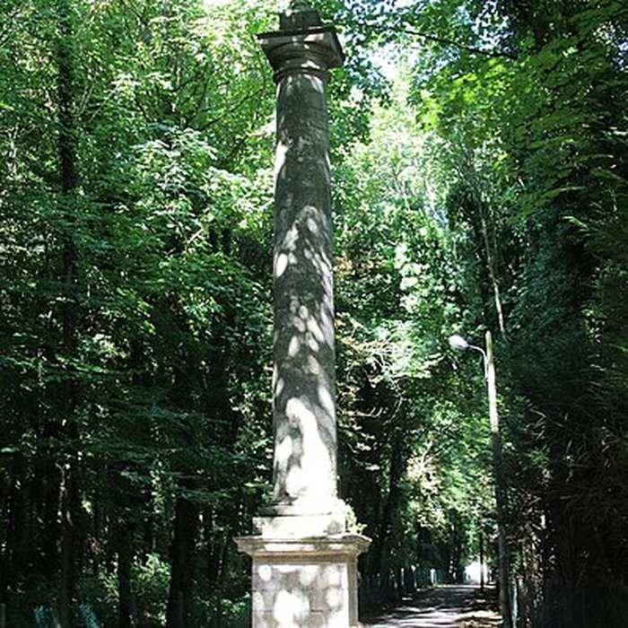 Photo de Domaine de Brunehaut vestiges de lancien