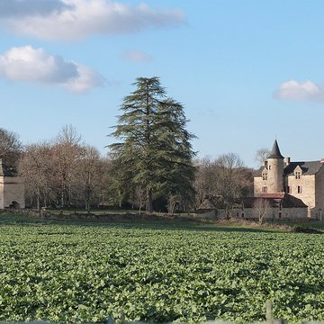 Château de Cambayrac