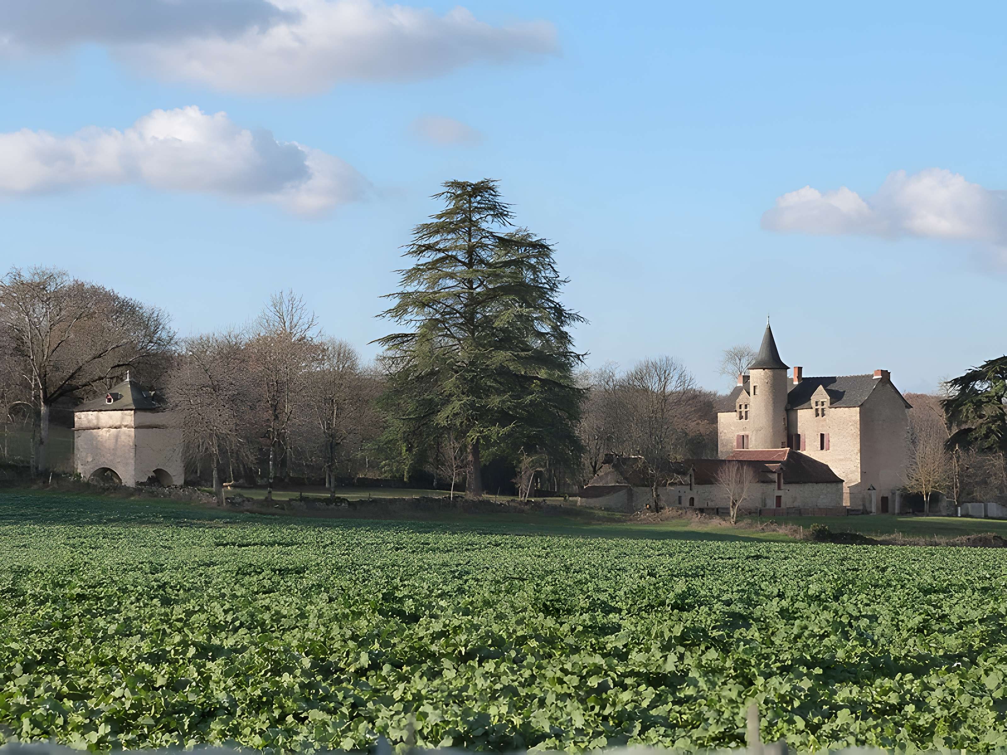 Château de Cambayrac