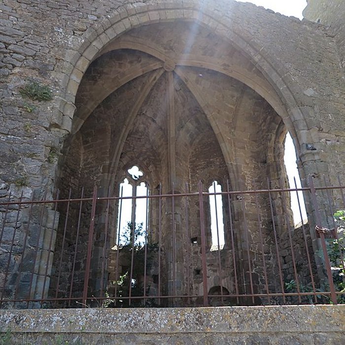 Photo de Château de Capendu